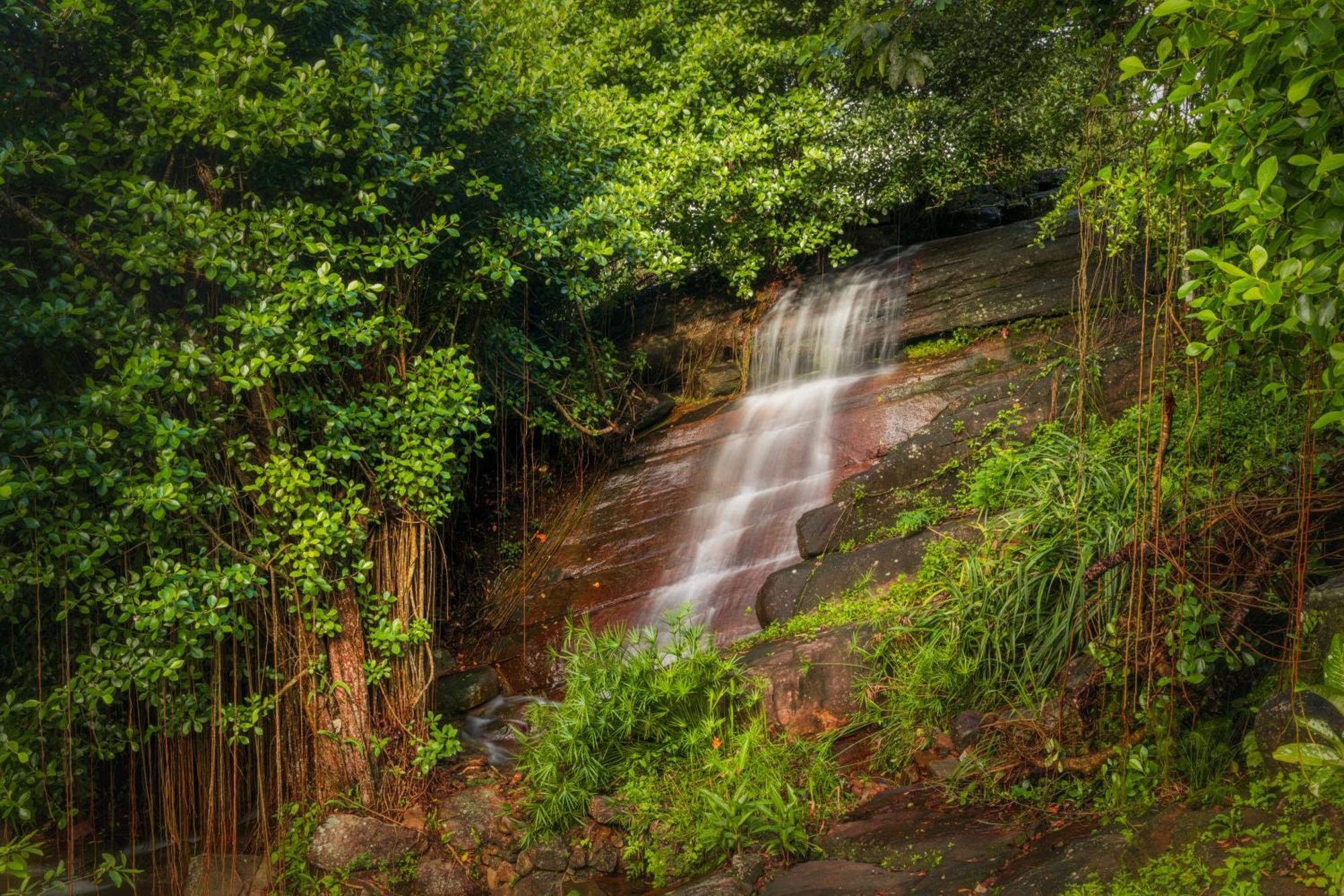 Villa Vajrapani Kandy Dış mekan fotoğraf